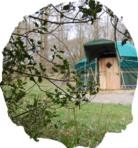 Woods, Wellies & Wellness ~ Gardening & Horticulture